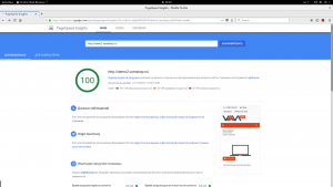 0a77e8c2c900x169 Новый Google PageSpeed Insights! VamShop показывает 100 баллов из 100 возможных во всех тестах!